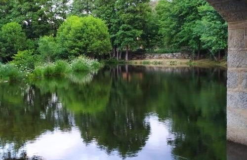 El Mirador - Photo 34