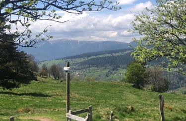 Gîte Eau-Vive, à 15kms de Colmar - Foto 18
