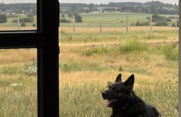 Agroturystyka Grodzisko - Foto 26