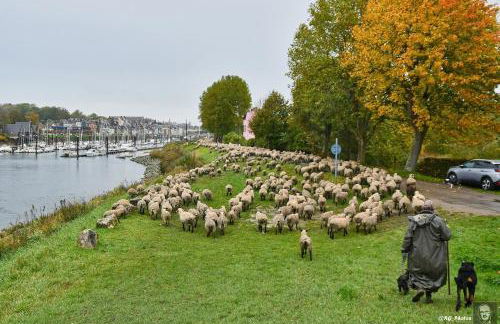 Gite La Lueur du Hable - Baie de Somme Hable d'Ault - Foto 16