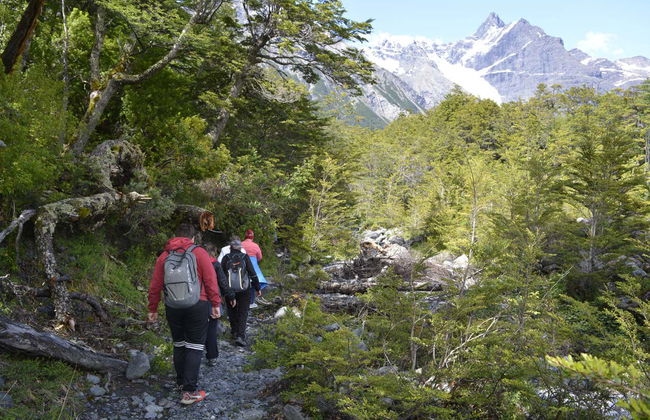Paseo en barco por el Lago Argentino - Foto 7