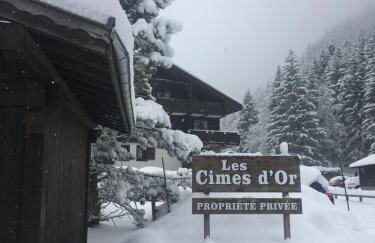 les Cimes d'Or Mont blanc - Photo 20