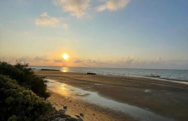 LE NID DU TEICH Duplex COSY ET CENTRAL A 5 MINUTES DE LA GARE - Photo 13