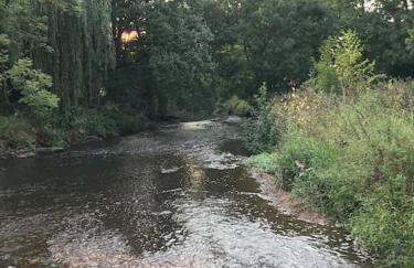 Burleyhayes Barn - Secluded Devon Hideaway. - Photo 39