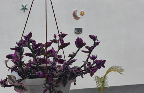 Casa Soleluna Salento - Foto 52