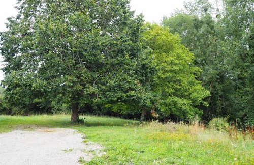 Le bois aux Ecureuils - Foto 16