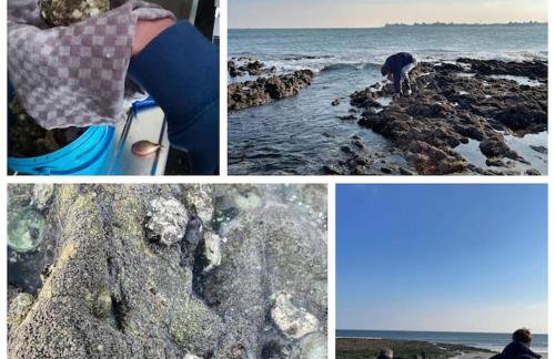 Chalet familial avec piscine-Finistère Sud - Foto 33