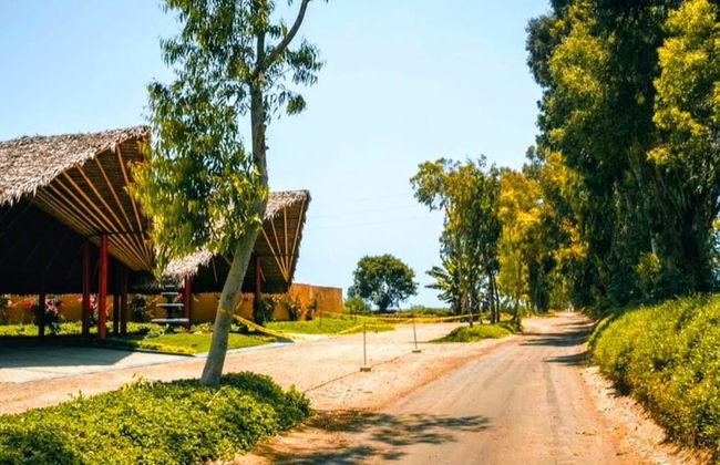 HOP Lago MAR Exclusiva en Playa de Chincha - Photo 41