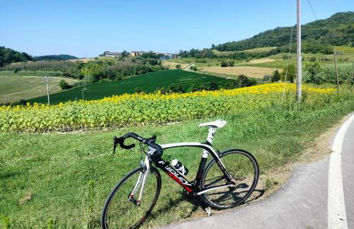 Casa Rosalinda, Monferrato cozy apartment - Foto 29