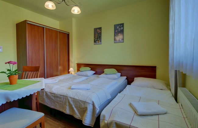 Willa Serafin - Photo 23