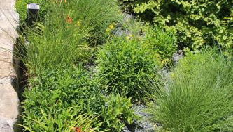 Ferienwohnung in der Kraxlhütte Waltersdorf - Foto 3, Garden, Garden view