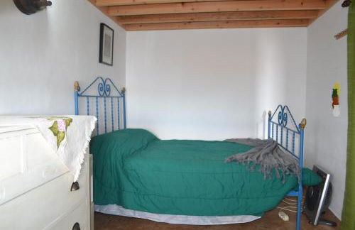 Casinha de Muda da Feteira - Photo 9