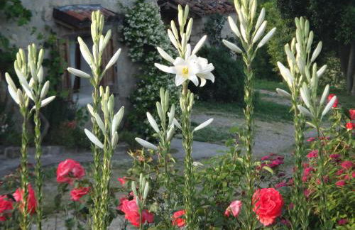 Monte Bibele - Foto 35