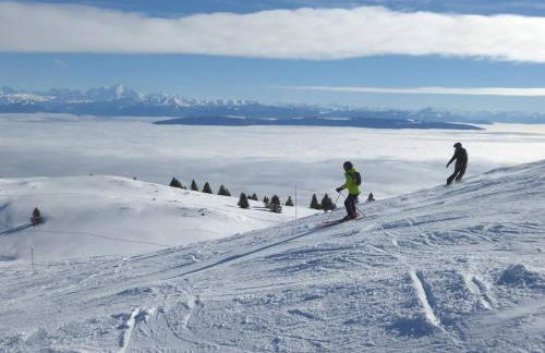 Central View - Near CERN,Geneva,UN - Free Parking - Foto 15