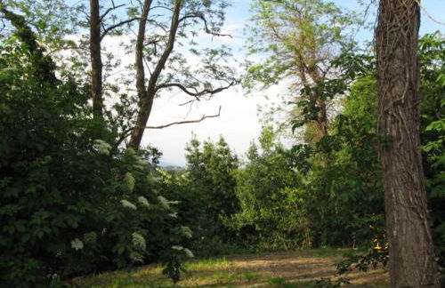 Casolare Toscano - Foto 38