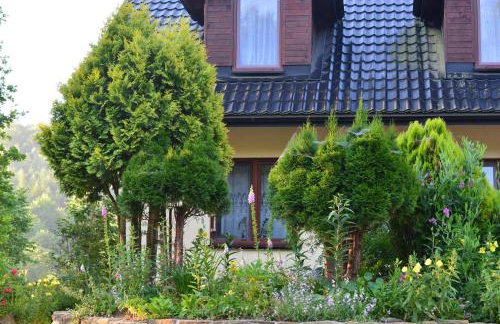 Zakole Sanu - Foto 18