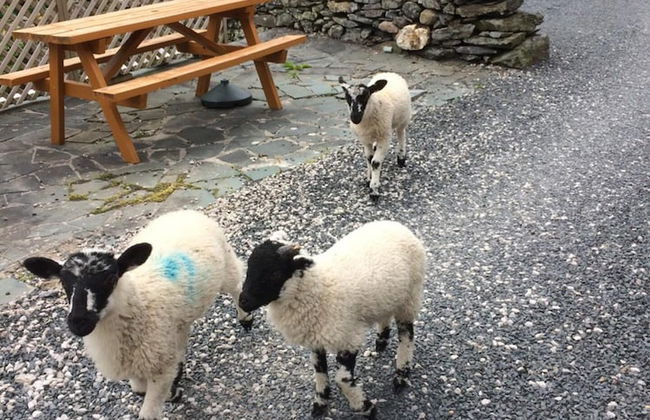 The Canteen Beautiful 1-bed Apartment in Keswick - Foto 3