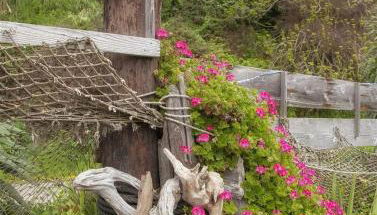 H - Cochito - Foto 4