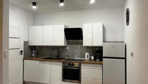 Szyszki i Motyle - Foto 4