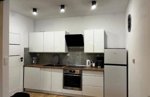 Szyszki i Motyle - Photo 4