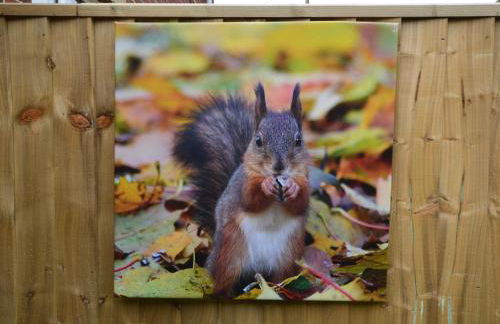 Queen Bower Farm Lodge - Foto 86