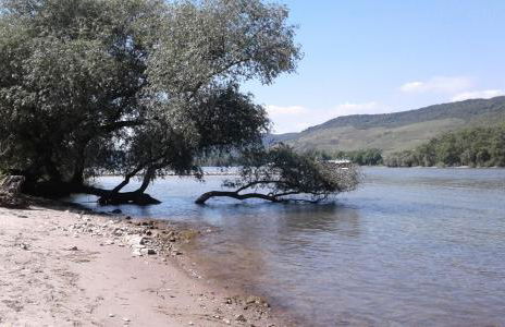 FeWo Batek - Foto 15