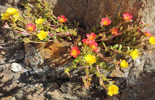 Casa Vacanza il Glicine - Foto 7