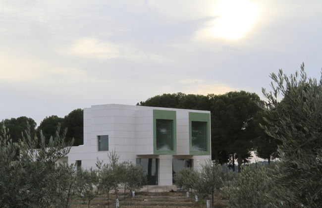 Finca Luz de Alba - Photo 30