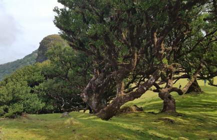 Quinta O Refúgio - Foto 68