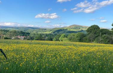 The Old Middle School Addingham - Photo 18