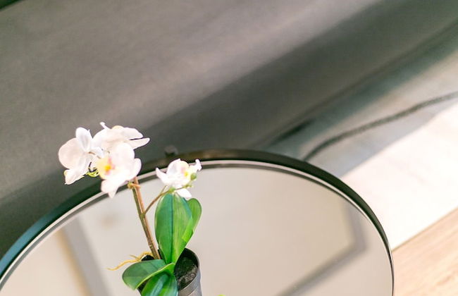 Lumina at Noma Condesa Mexico City - Foto 38