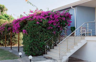 Villa Villino Blu by the sea - Foto 26