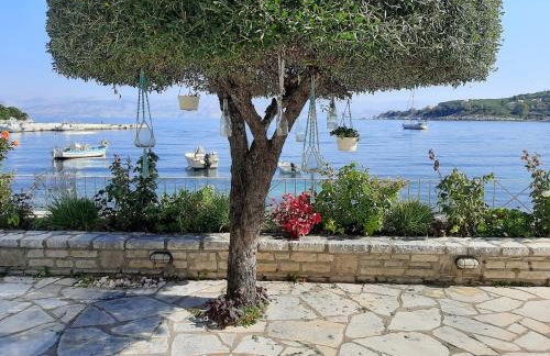 Imerolia Beach Villa Kassiopi Corfu - Foto 11