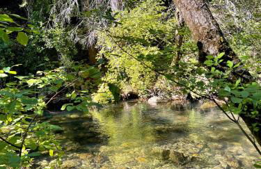 Lux, designer 8-acre retreat with private creek - Foto 8