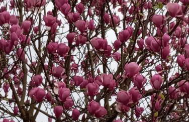 Casa com vista sob a cidade! - Foto 11