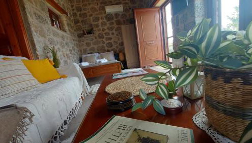 homonatura petrinum - Foto 5