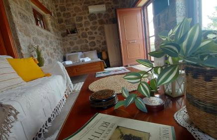 homonatura petrinum - Foto 5