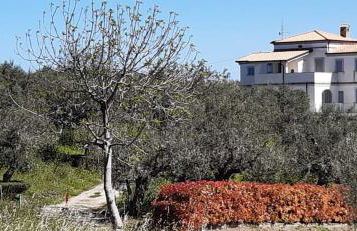 Villa Fiorentina e la Costa dei Trabocchi - Foto 44