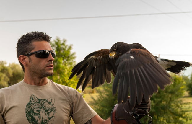 Al Regio Tratturo - Foto 24