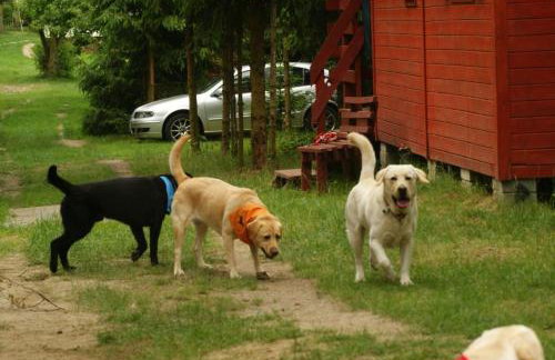 Domki drewniane alpejskie - Photo 9