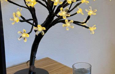 Casa acolhedora em São Sebastião - perto do centro - Foto 13