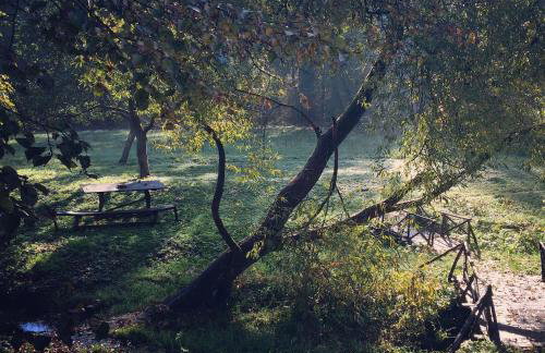 Zamek w Dzięgielowie - Foto 39