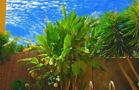 Casa Con Piscina en el Centro - Foto 12