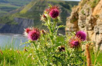 The Old Reading Room - Photo 28
