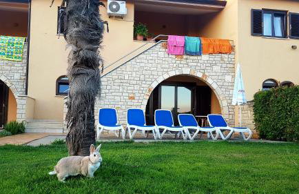 Holiday Home Marina - Foto 19