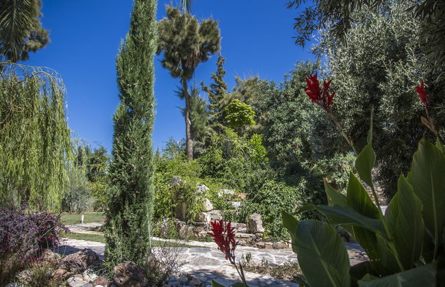 Elisa Villa - Foto 47