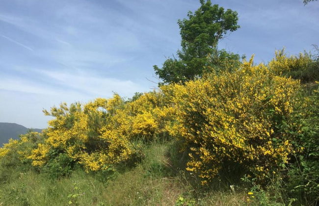 Castelvecchio Family Retreat - Photo 29