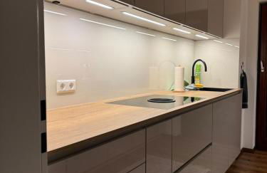 Modern apartment near Basel & airport - Foto 7