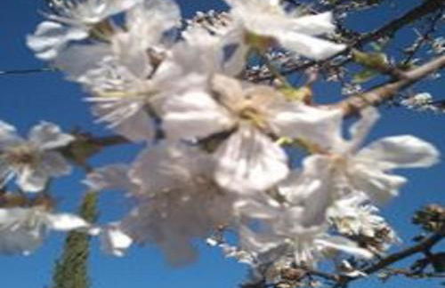 Naturaleza, Confort y Magnificas vistas a Sierra de Gata TR-CC-00490 - Foto 44