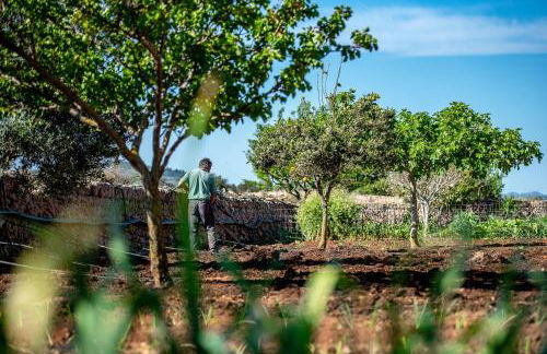 Finca Sos Ferres D'en Morey - Foto 42